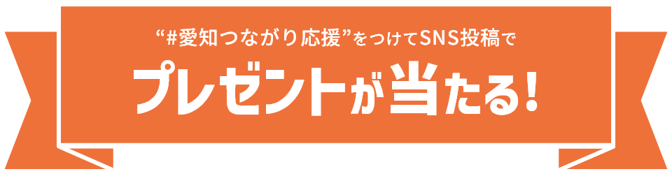 #愛知つながり応援をつけてSNS投稿プレゼント