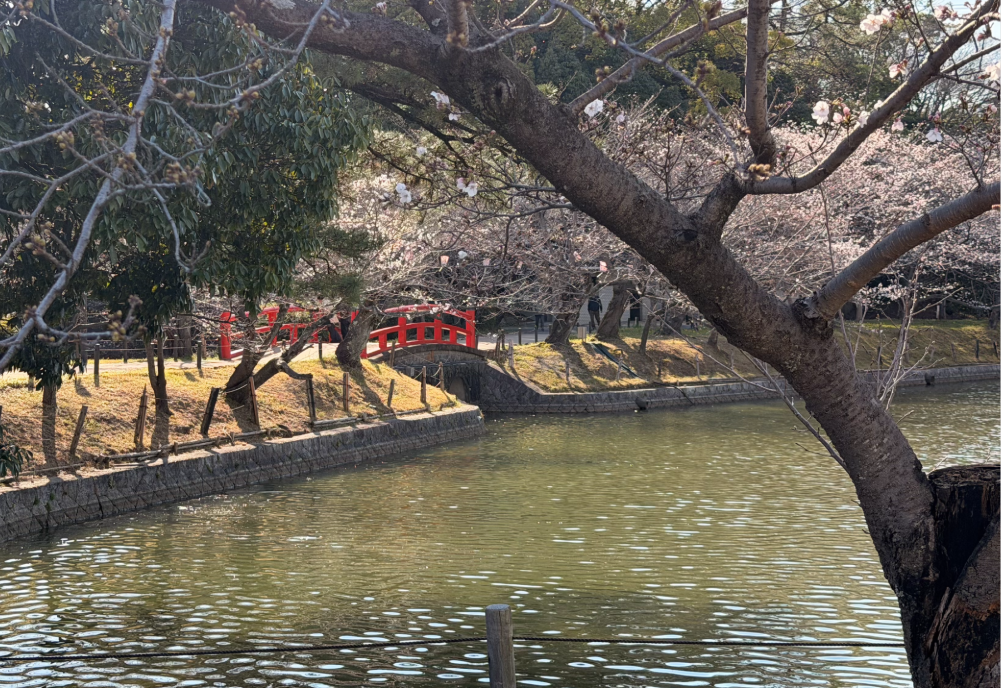 亀城公園