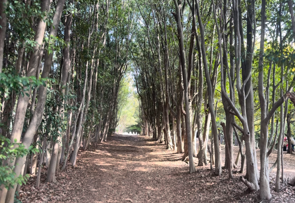 大府みどり公園