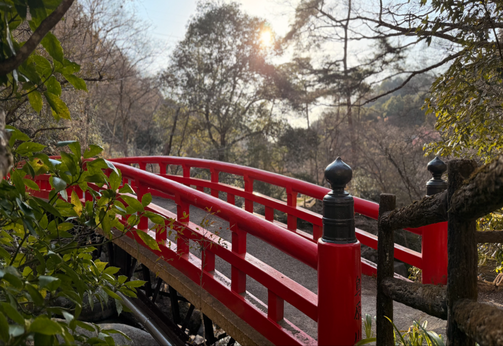 岩屋堂公園