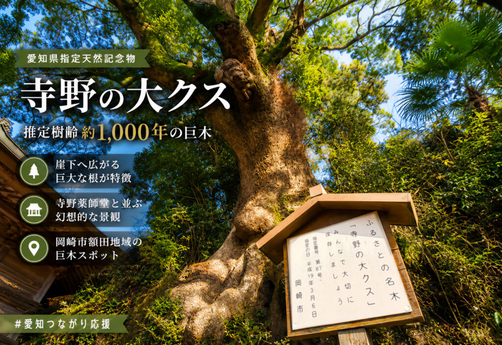 寺野の大クス