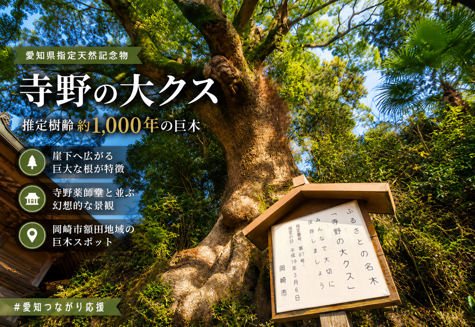 寺野の大クス