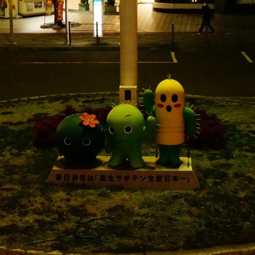 rikorikoriko813