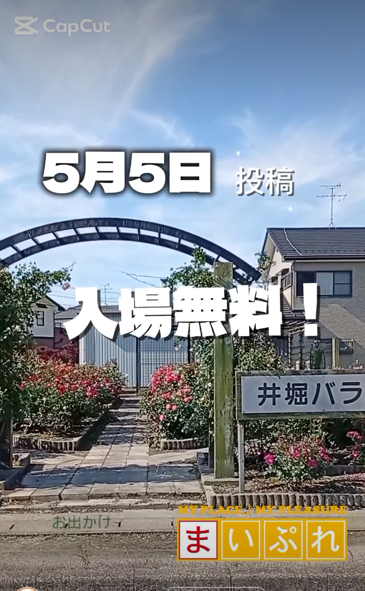 kira_pan419