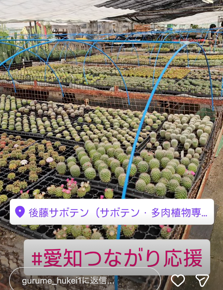 gurume_hukei1