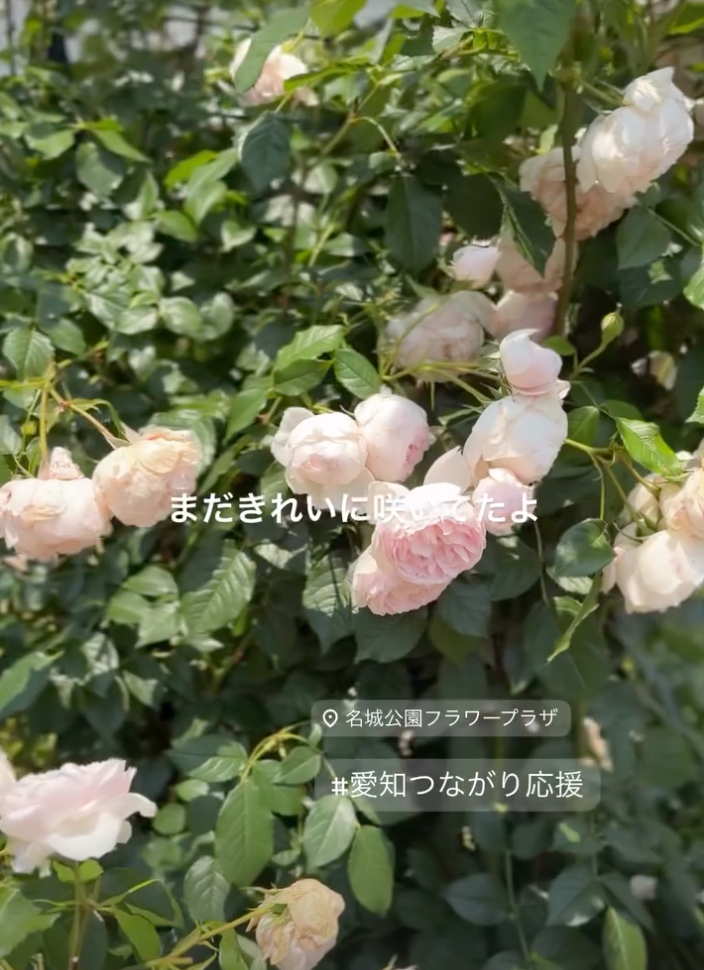 名城公園・名城公園フラワープラザ