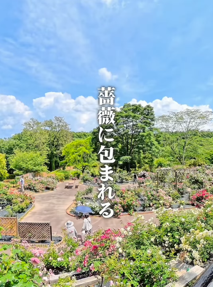 西山公園