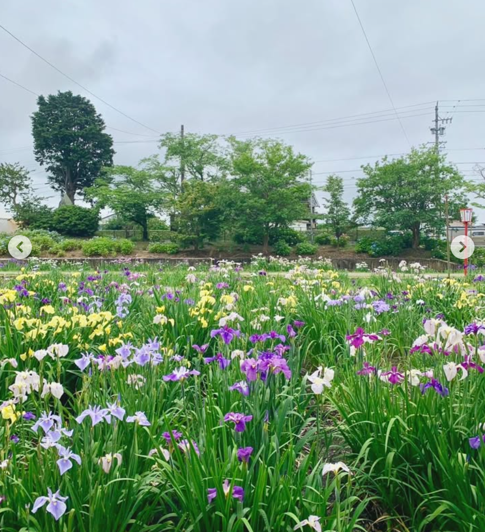shiki__oriori.358