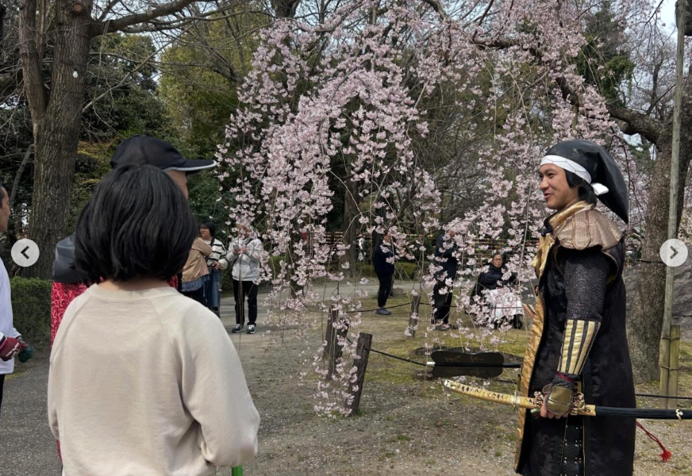 岡崎城公園