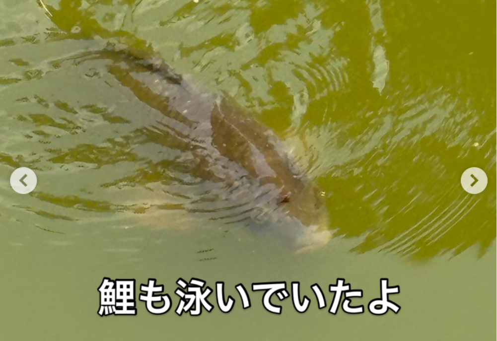名城公園