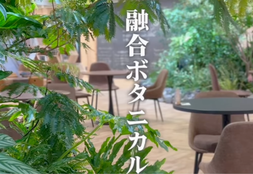 café Earth+h.l