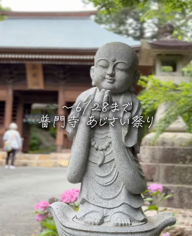 iijan_mikawa