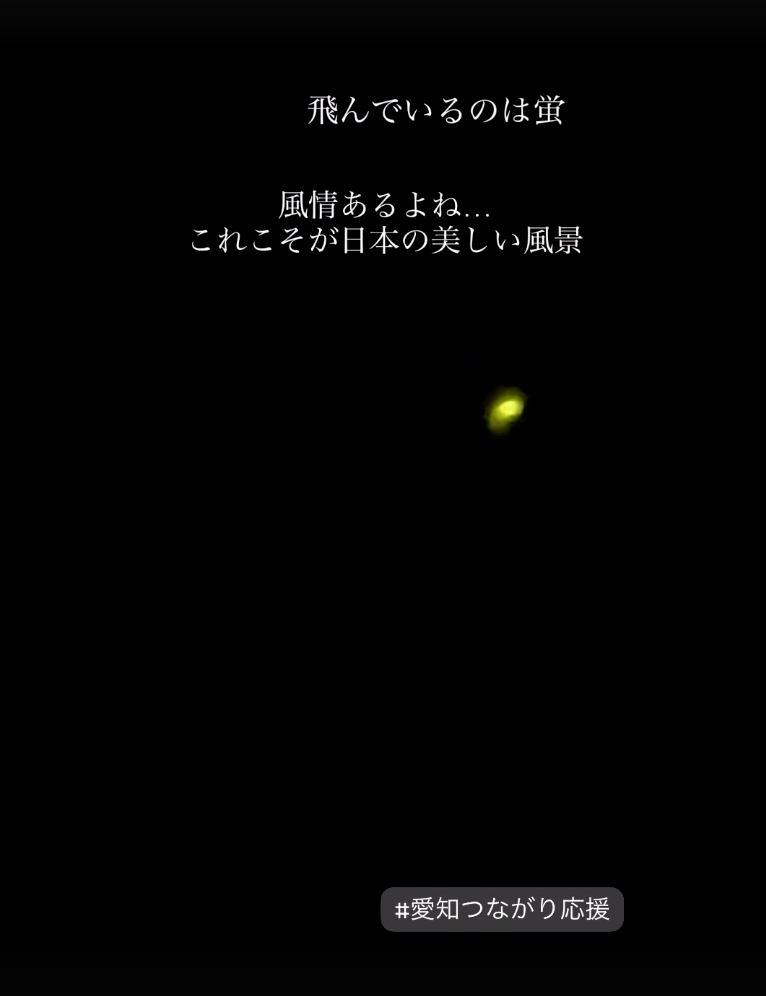 kyon_gelcandle