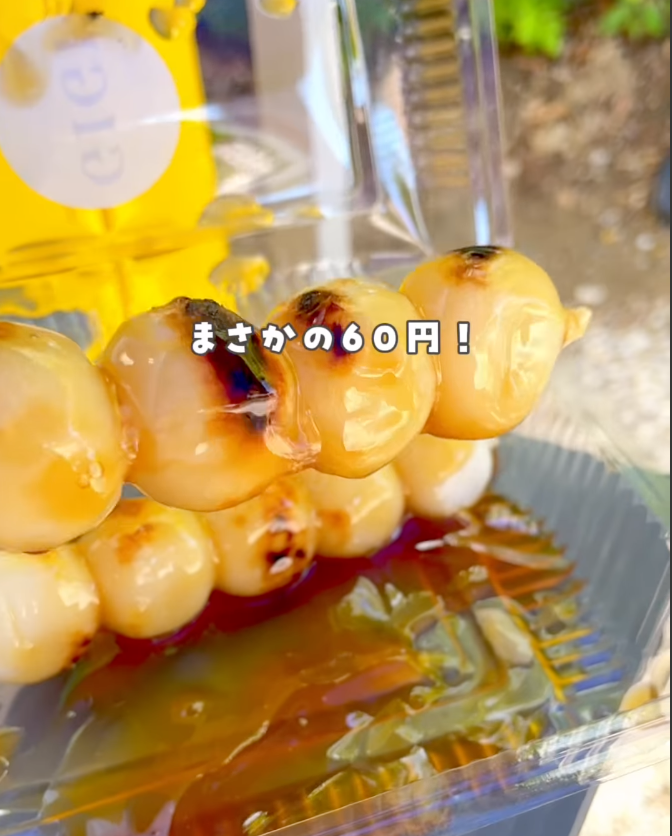 akarimama_gifu.aichi_odekake