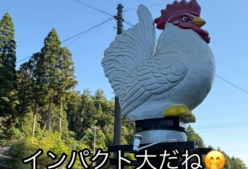 かしわ料理 花の木
