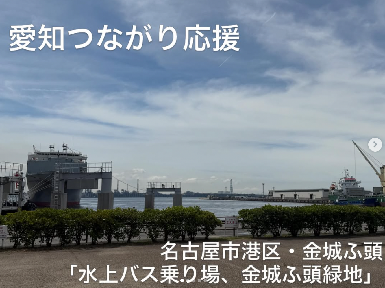 akariiwamura