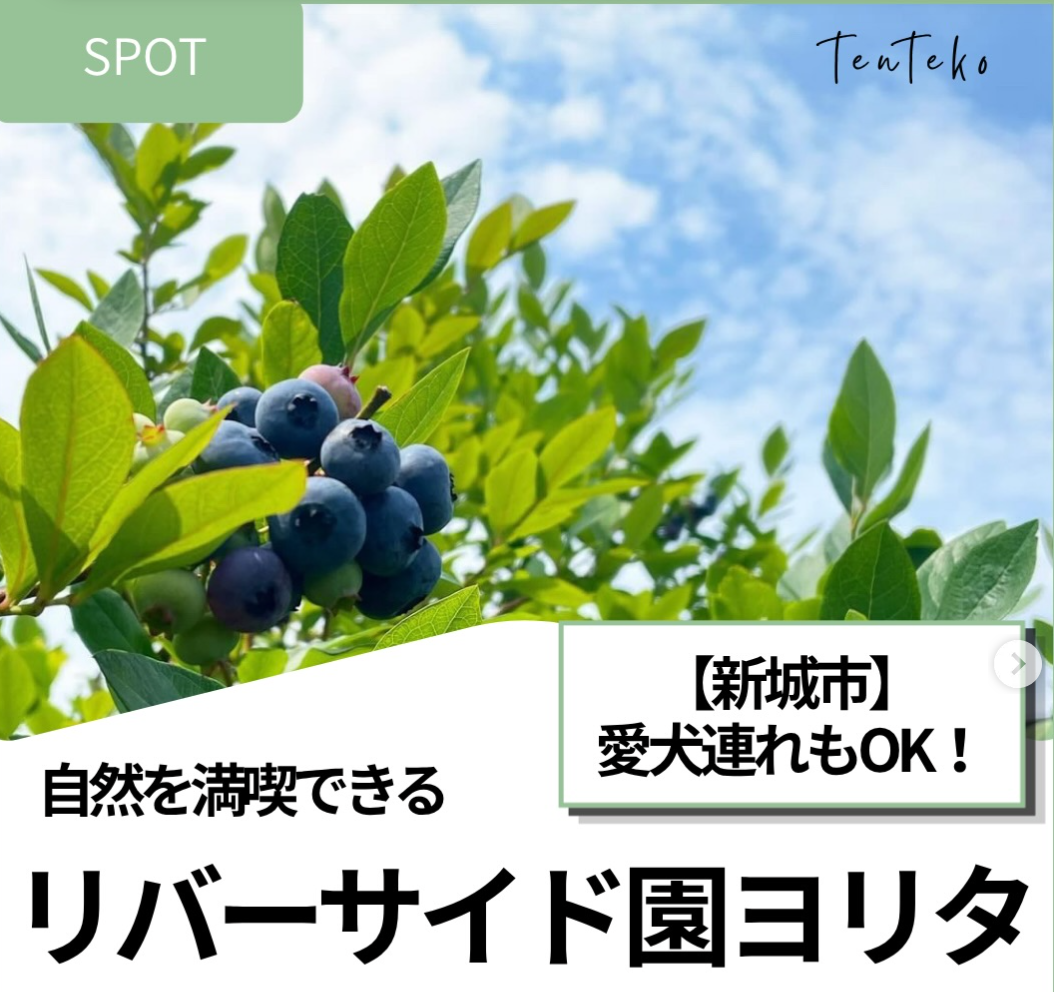 tenteko1019