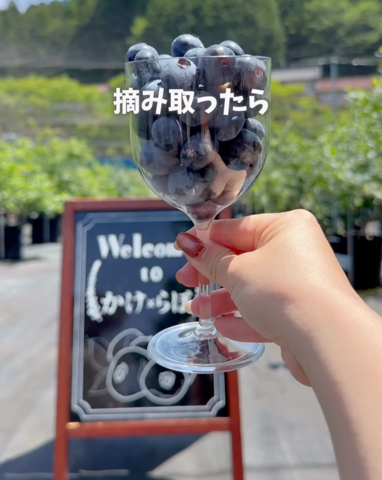 aichi_trip.concierge