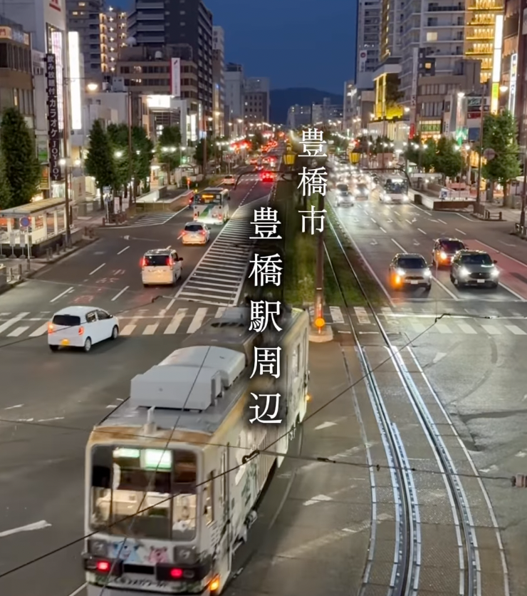 iijan_mikawa