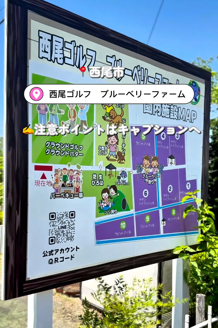 西尾ゴルフ ブルーベリーファーム