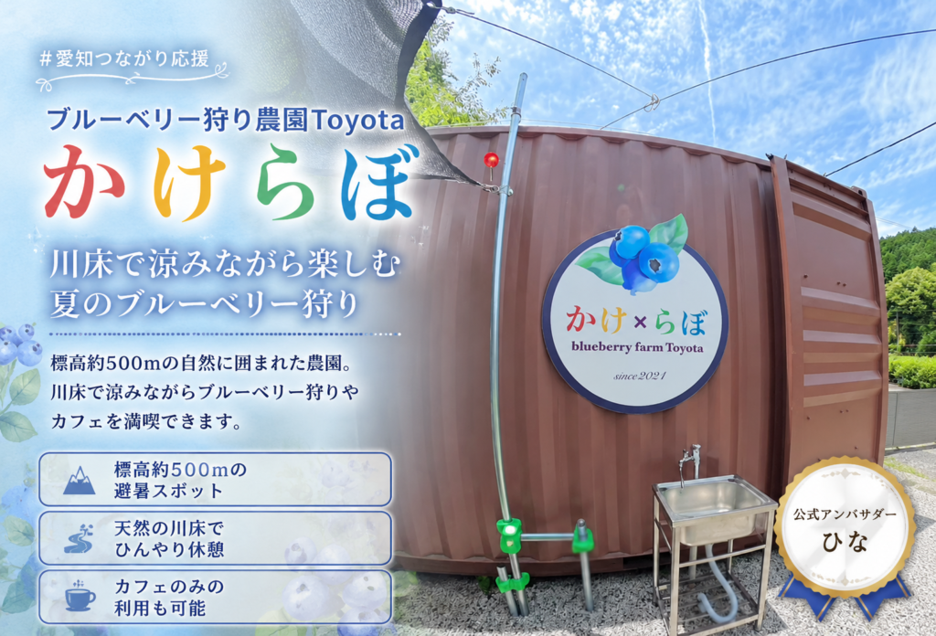 ブルーベリー狩り農園Toyota かけらぼ