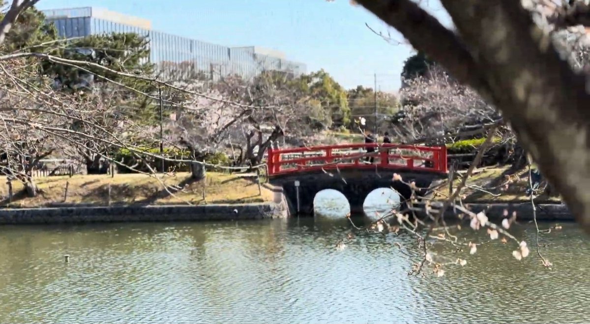 choshuotoko