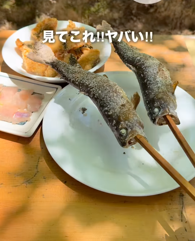 ariru_aichi_odekake