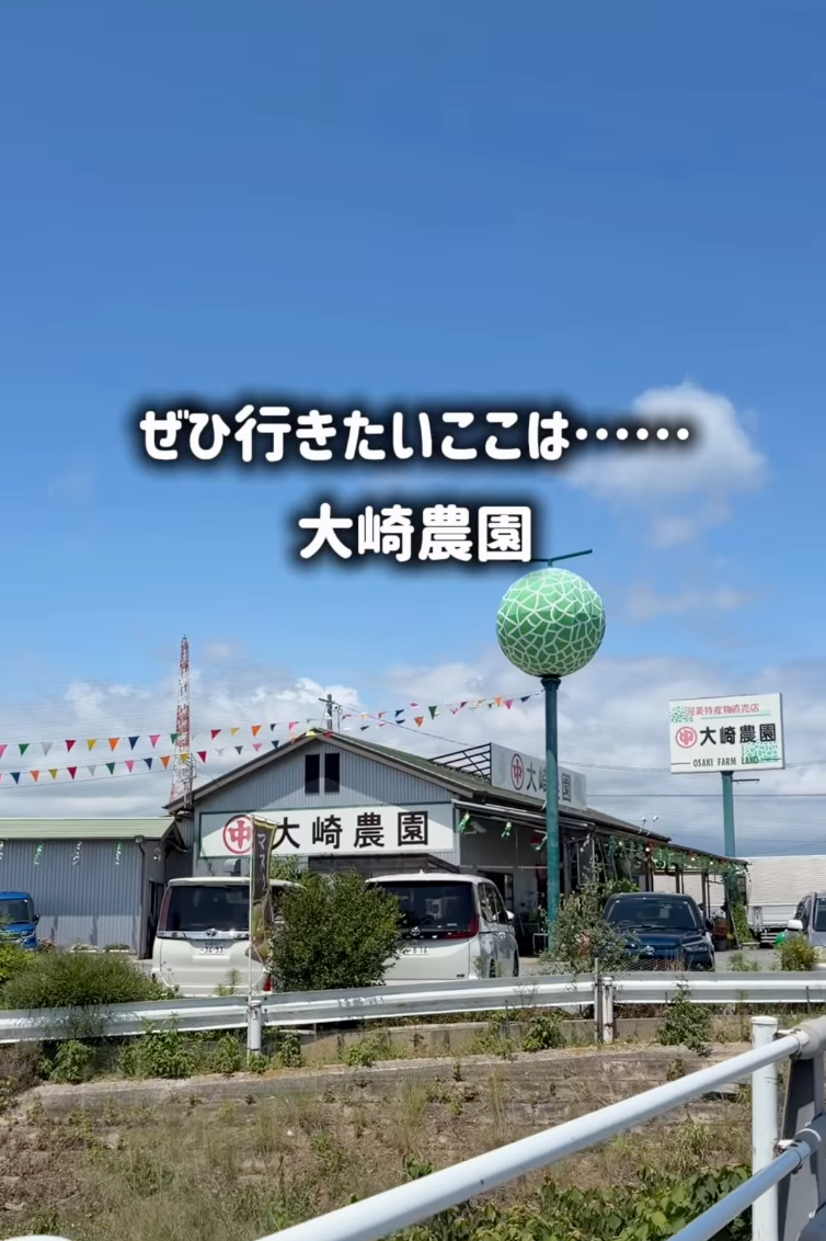 iijan_mikawa