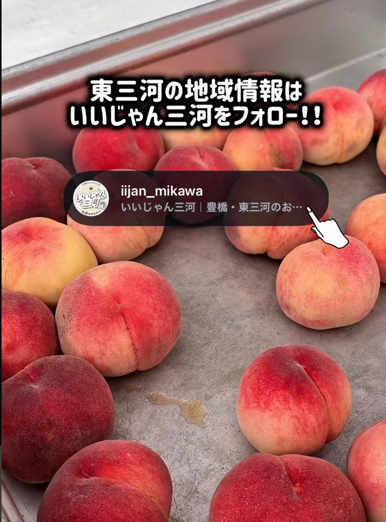 iijan_mikawa