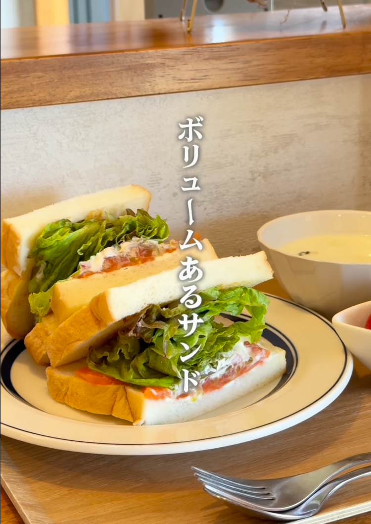 toyota_walker