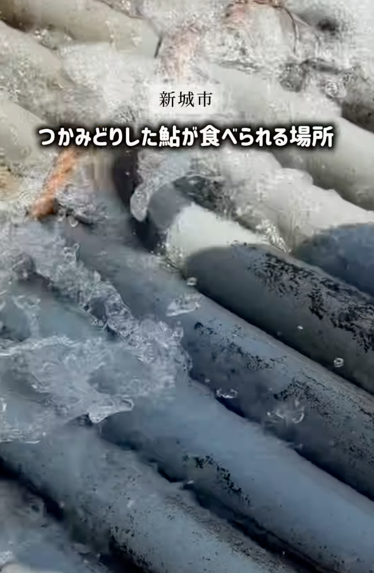 iijan_mikawa